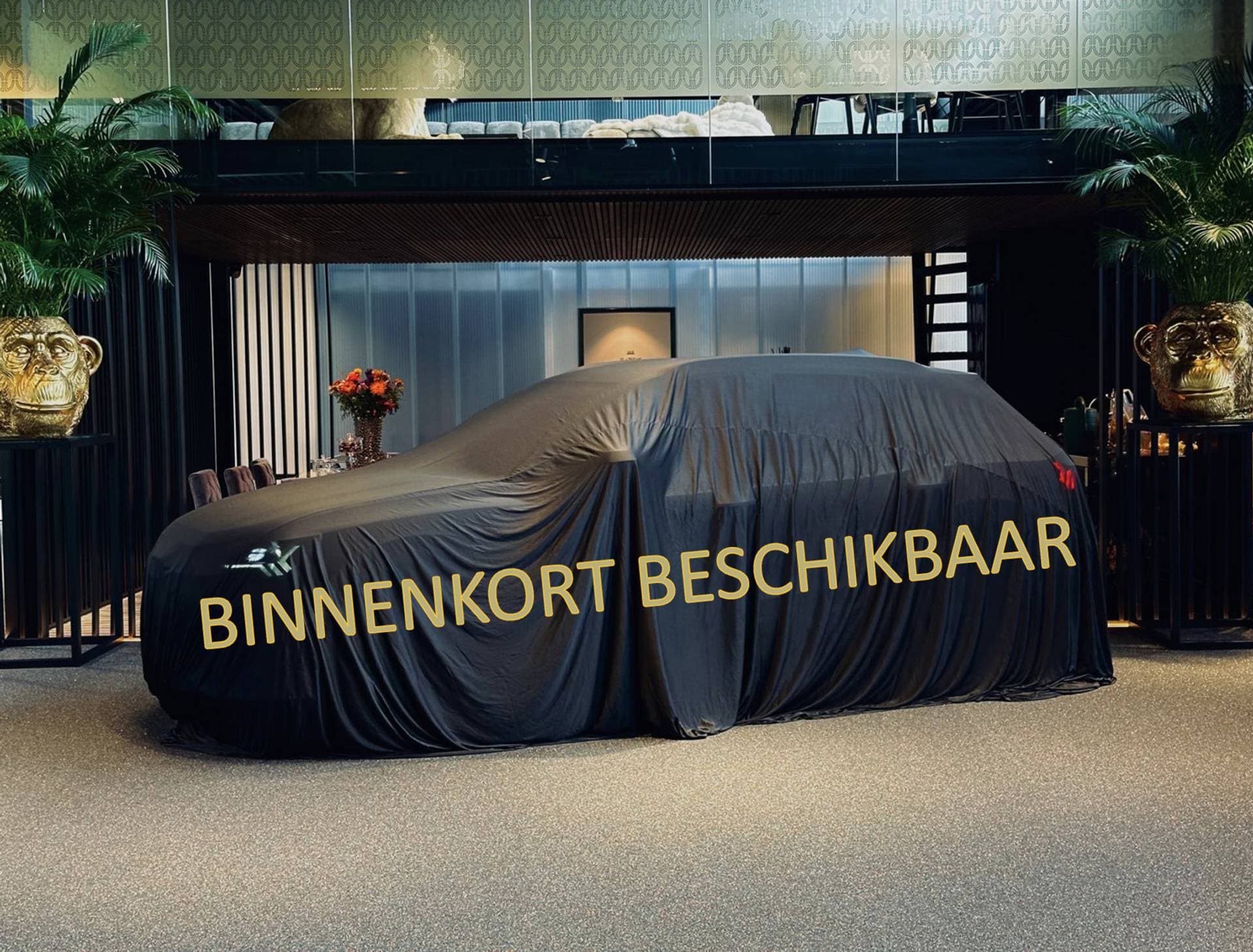 Ford Focus - Afbeelding 1