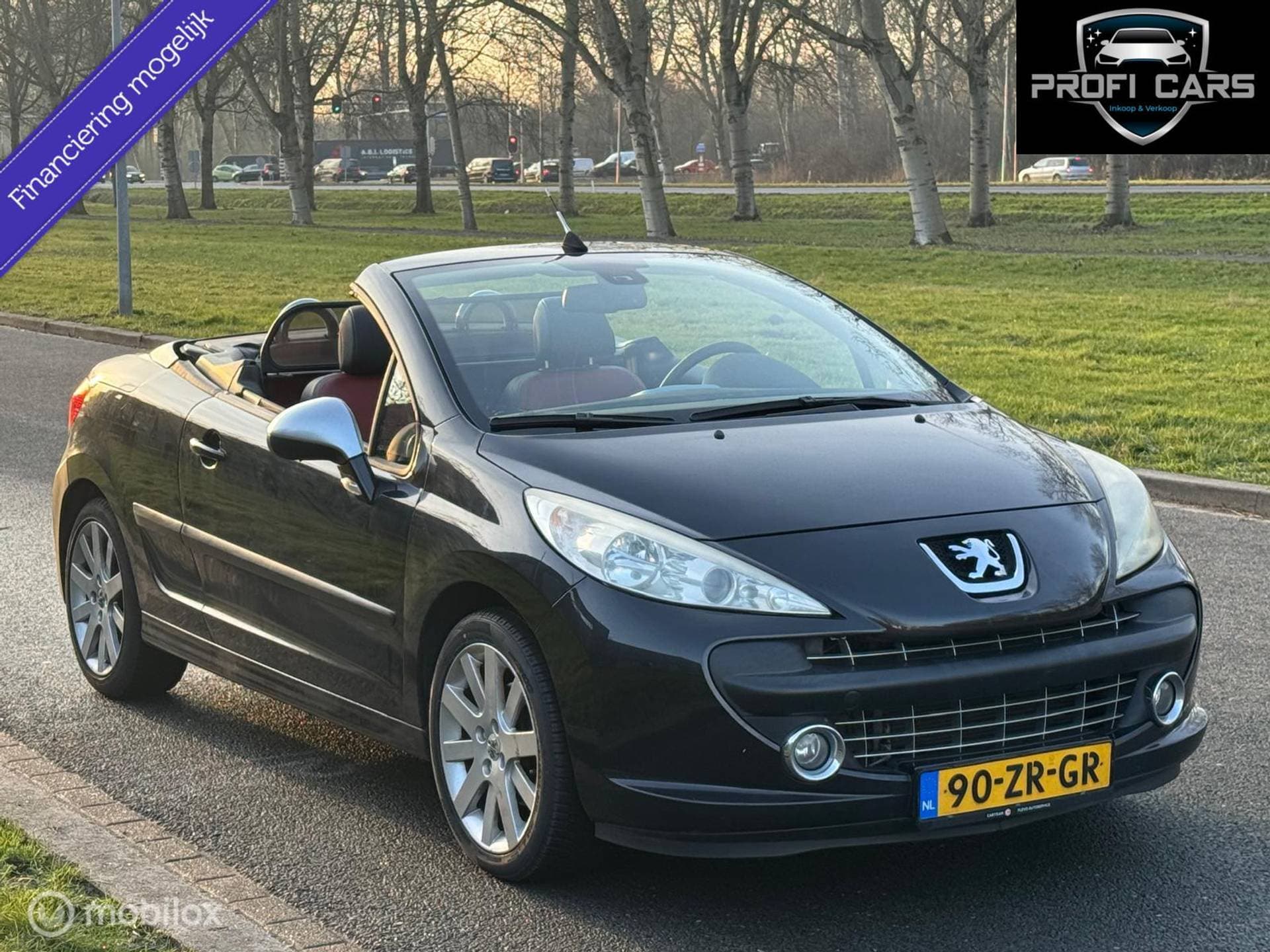 Peugeot 207 - Afbeelding 1