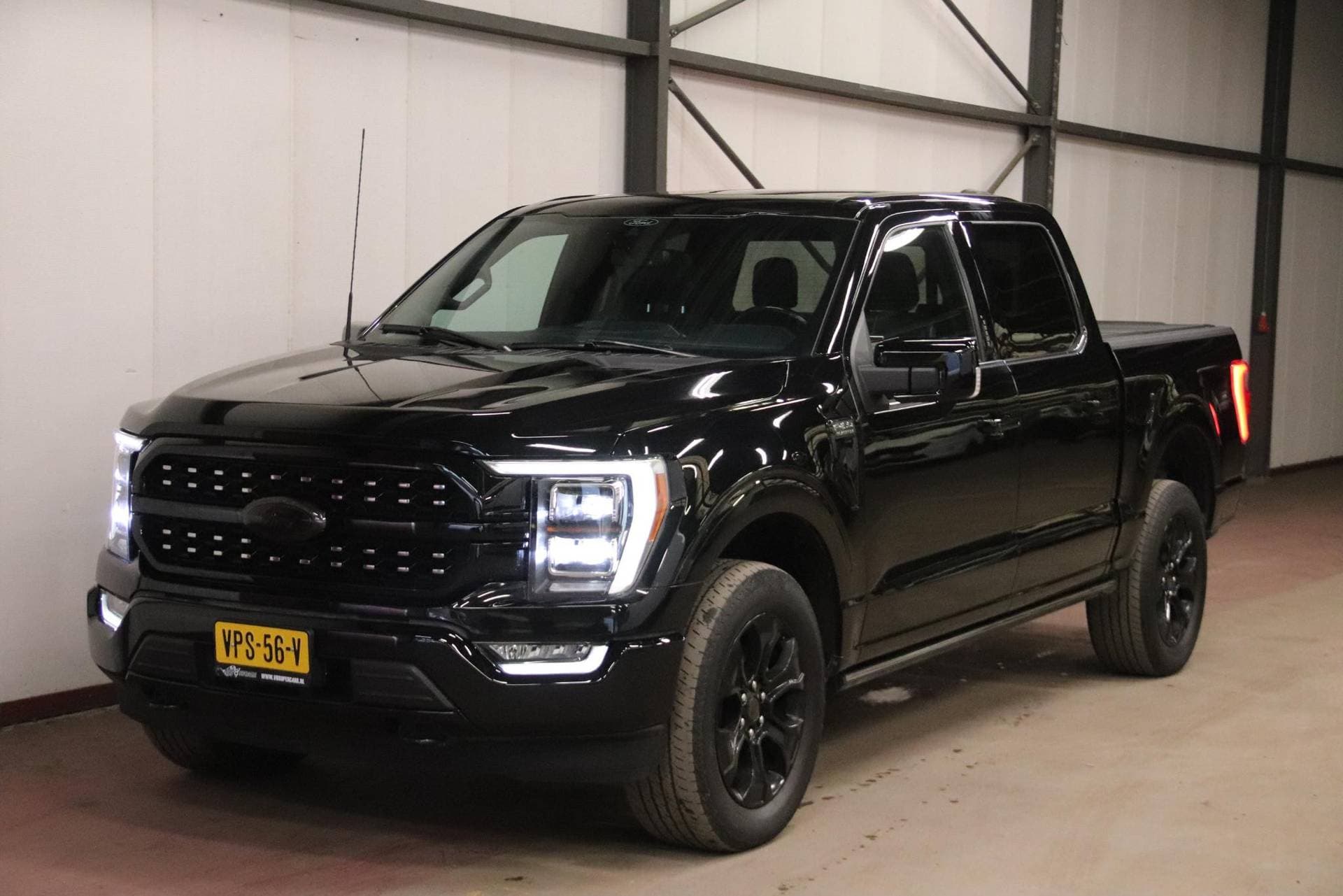 Ford F-150 - Afbeelding 1