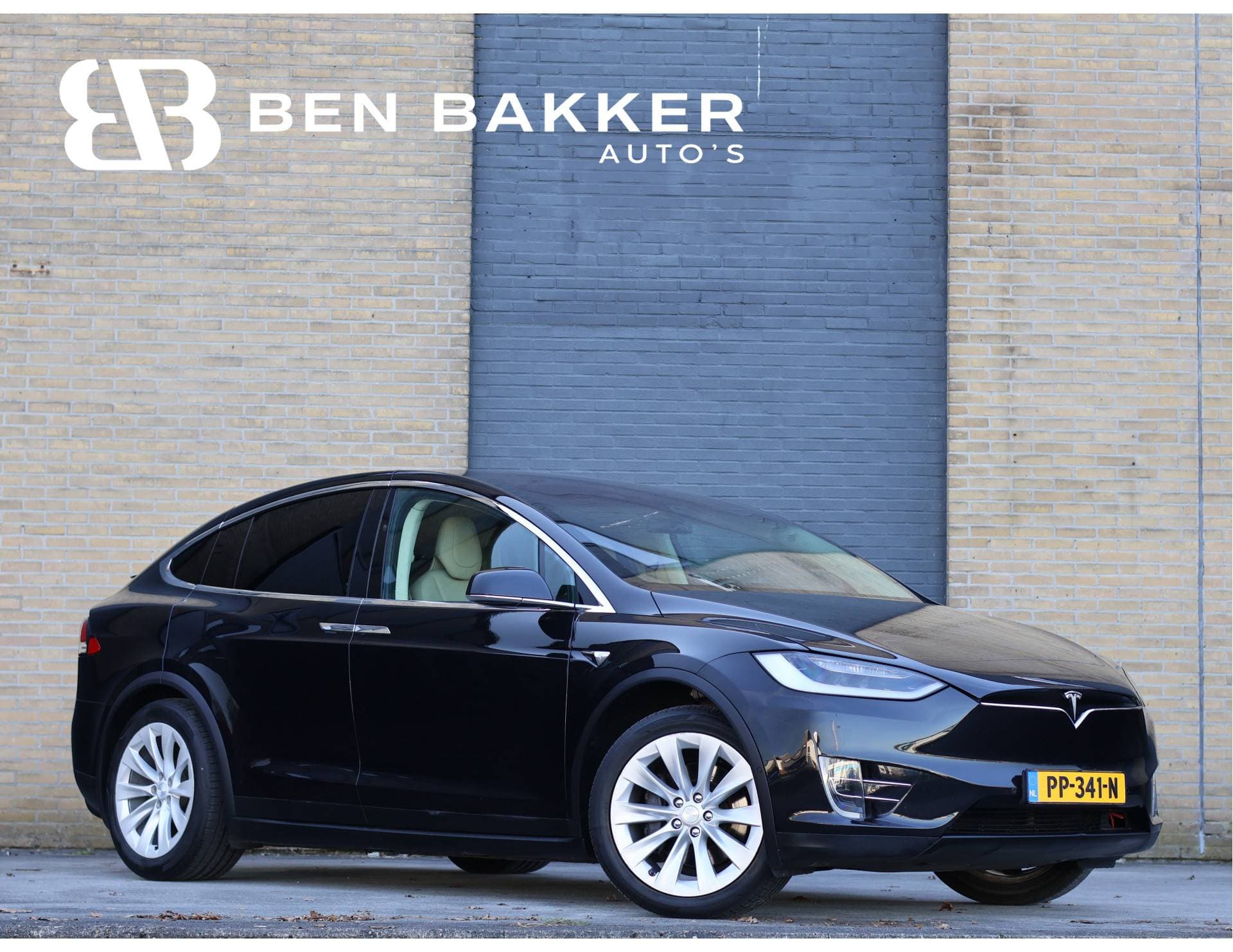 Tesla Model X - Afbeelding 1