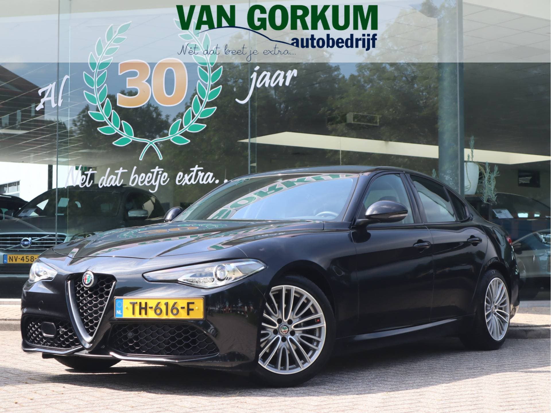Alfa Romeo Giulia - Afbeelding 1