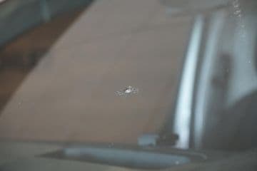 Thumbnail 21